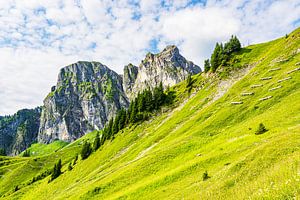 Blick vom Breitenberg auf den Aggenstein bei Pfronten