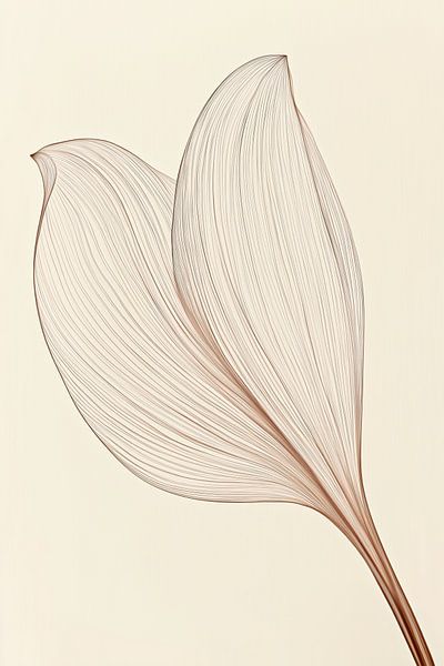 Flower in lines by Bert Nijholt