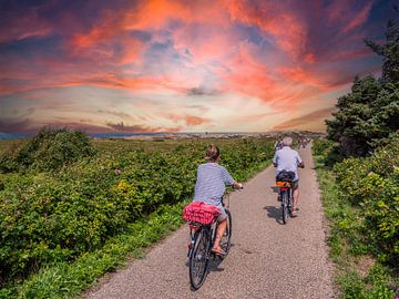 Fahrradtour auf der Insel Sylt an der Nordsee von Animaflora PicsStock