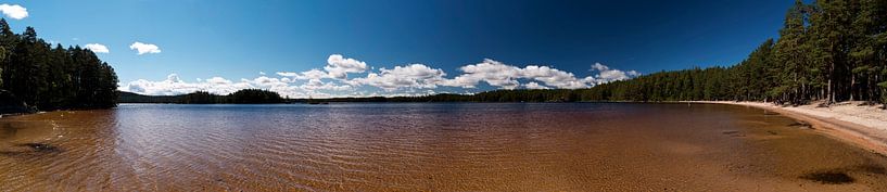 Panoramablick in Vaestergoetland West Gothland, Schweden von 3QuarksMedia