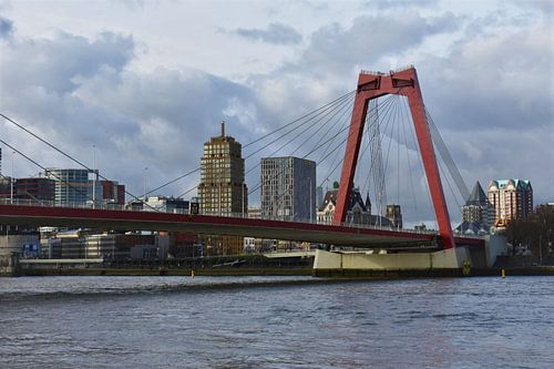 Rotterdam Willemsbrug Nederland