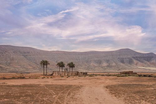 Huisje met palmbomen op Fuerteventura La Olivia