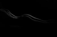 Bodyscape