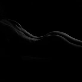 Bodyscape by Silco Saaman