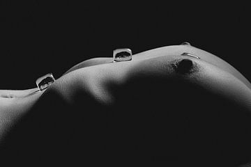 nackter Frauenkörper mit Eiswürfeln von Retinas Fotografie