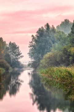 Autumn De Elzen Dordrecht by Rob van der Teen