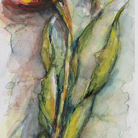 Tulips of Holland. by Ineke de Rijk