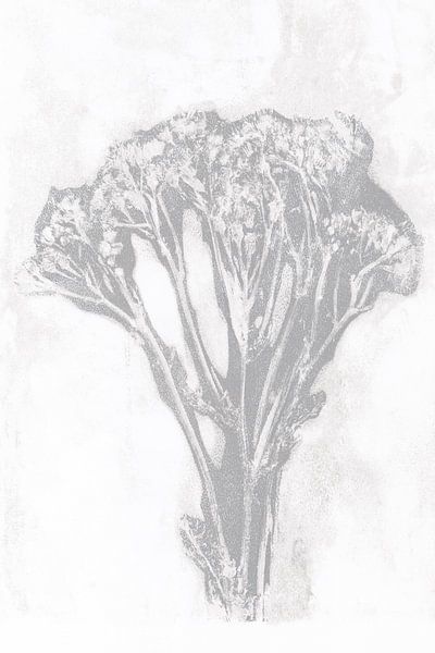 Flowers bouquet in retro style. Modern botanical minimalist art in grey and white by Dina Dankers