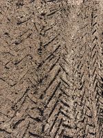 Flatland