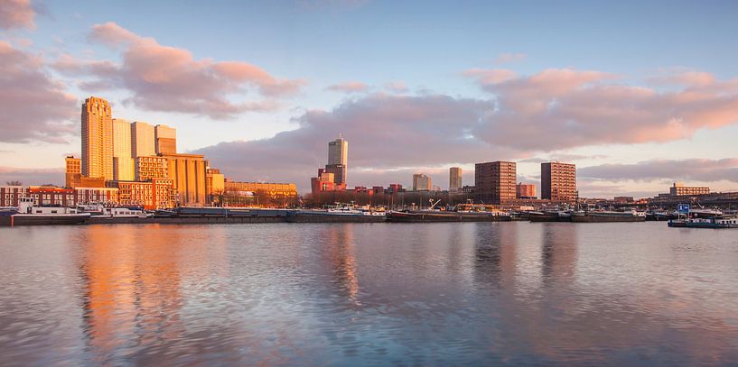 Panorama Maashaven Rotterdam van Ilya Korzelius