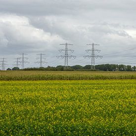 High-voltage pylons by MSP Canvas