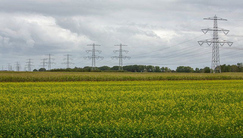 High-voltage pylons by MSP Canvas