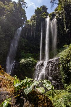 Chute d'eau Sekumpul, gorge verte à Buleleng, Bali, Indonésie sur Fotos by Jan Wehnert