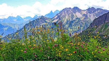 Alpen uitzicht van Thomas Heitz