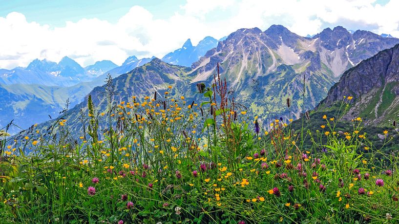 Alpine view by Thomas Heitz