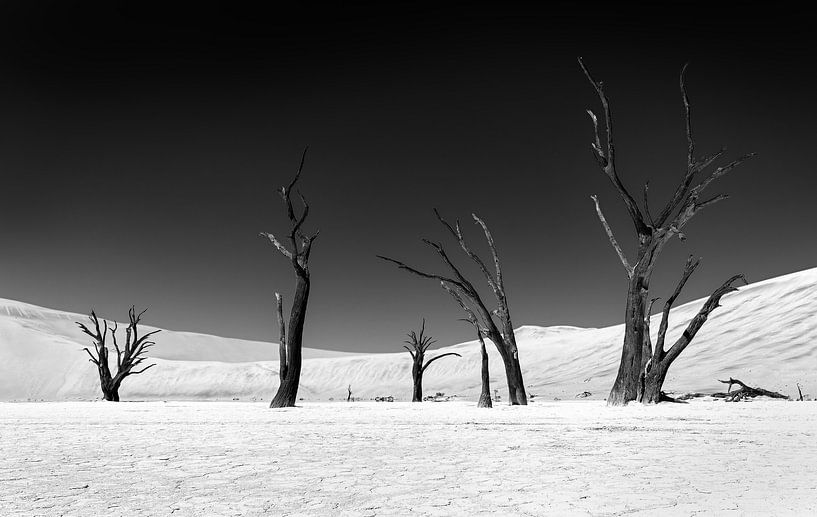 Sossusvlei Namibia (2) in Schwarz und Weiß von Adelheid Smitt