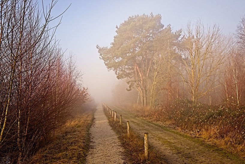 Groote Peel National Park by Rob Boon