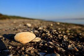 Morning atmosphere on Usedom by Thomas Jäger