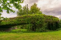 A bridge covered with leaves