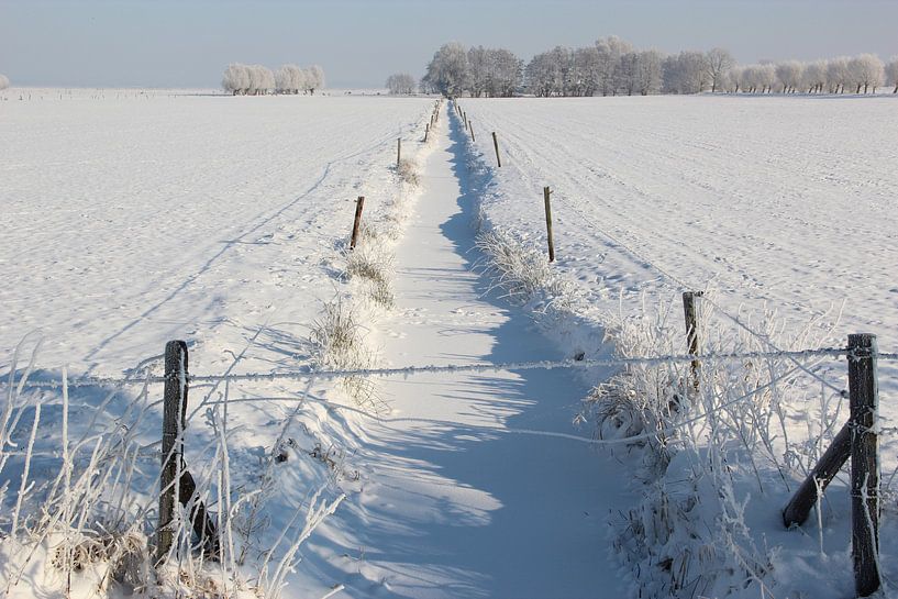 Wijds winterlandschap van Wilma Overwijn