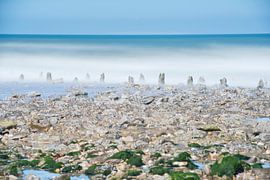 Strandpaaltjes by Wendy van Kuler Fotografie