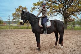 Training with the Bayer black horse Baveria on a riding arena in autumn