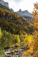 Colourful forests, mountains & streams