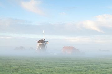 Dutch farmland 