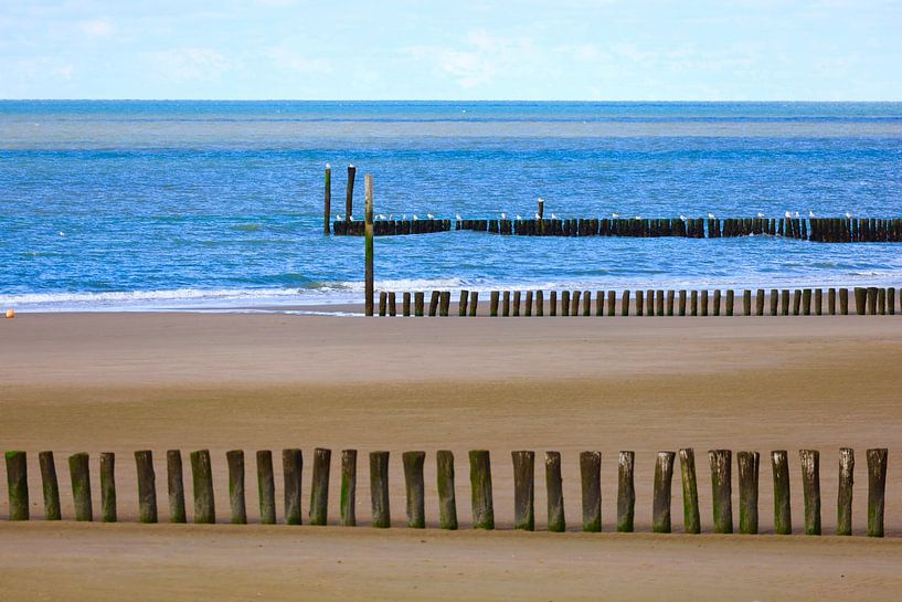 North Sea Coast in Holland by Thomas Jäger