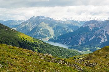 De Vinschgauer bergen in Zuid-Tirol laten zich in het voorjaar zien met alpenbloemen, wollegras en een fris berglandschap. Een indrukwekkende combinatie van natuurlijke diversiteit en alpenweiden.