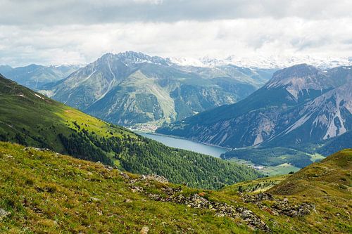 De Vinschgauer bergen in Zuid-Tirol laten zich in het voorjaar zien met alpenbloemen, wollegras en een fris berglandschap. Een indrukwekkende combinatie van natuurlijke diversiteit en alpenweiden.