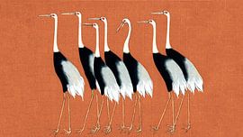 Japan cranes on rust