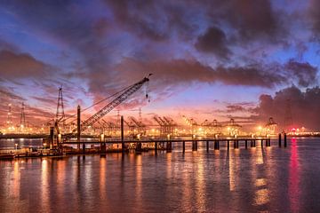 Quay met containerterminal op tijdens kleurrijke zonsondergang, Antwerpen van Tony Vingerhoets