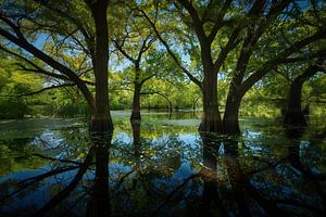 Wasser als Spiegel