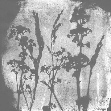 Natuur dromen. Botanische illustratie in retrostijl in grijs en wit van Dina Dankers