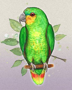 Amazone papegaai van Bianca Wisseloo