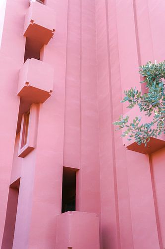 Murella Roja Fine art