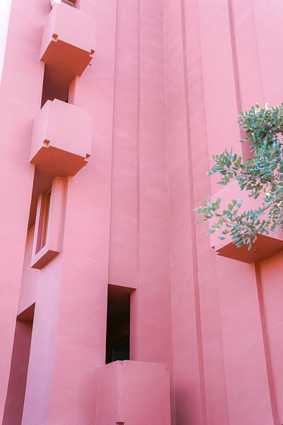 Murella Roja Fine art by shanine Roosingh