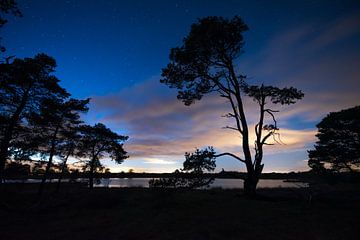 Nachtfoto met sterren van Evelien Huisman