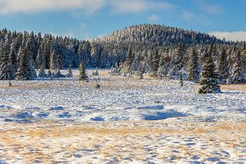 Winterlandschap in het Ertsgebergte van Daniela Beyer