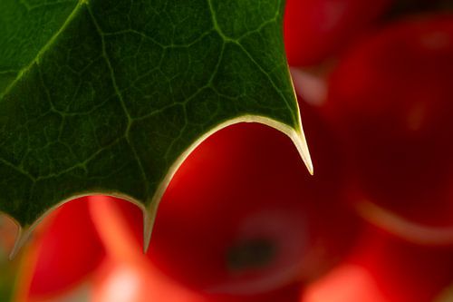 A little piece of Christmas spirit by Marjolijn van den Berg