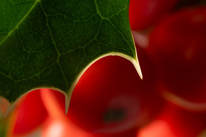 Een klein stukje Kerstgevoel van Marjolijn van den Berg