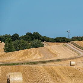 Gemähtes Getreidefeld mit großen runden Heuballen mit einer Straße im Hintergrund von Harry Adam