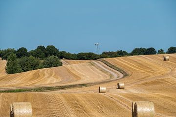 Gefreesd graanveld met grote ronde hooibalen met een weg op de achtergrond van Harry Adam