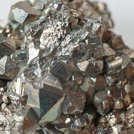 Cluster de pyrite sur Stefanie de Boer