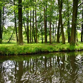 Spreewald-Impression 7.0 by Ingo Laue