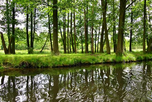 Spreewald-Impression 7.0