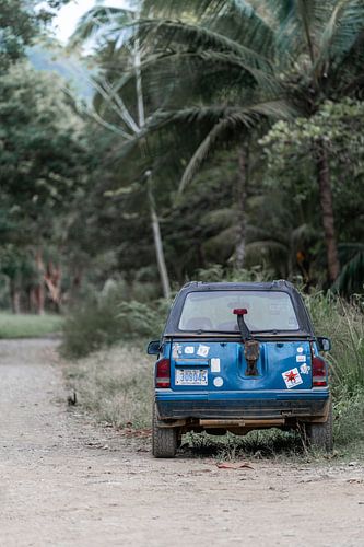 Auto Tropisch Avontuur op Een Verborgen Junglepad