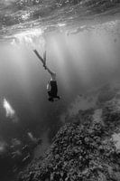 Freediver op bezoek bij persluchtduikers