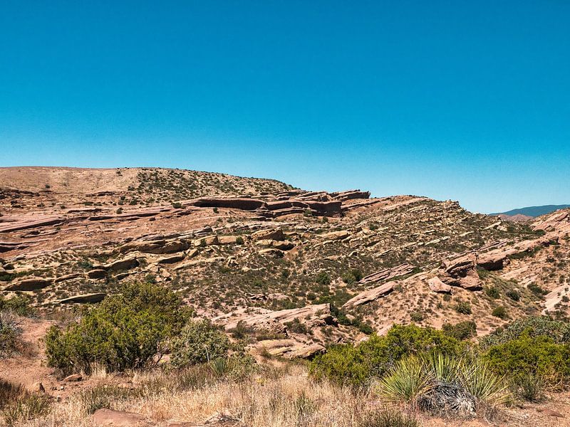 Marsähnliche Landzunge im Vasquez-Nationalpark von Marc van den Elzen